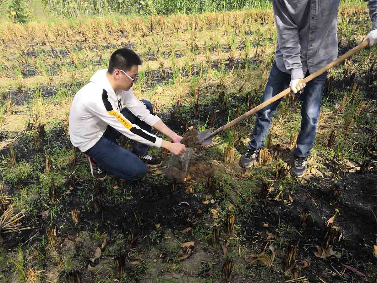 耕地质量等级评价项目