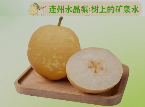 “桃李”炎暑，清冷一夏