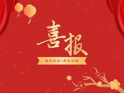 2023开年见喜丨人生就是搏集团荣誉榜再添新彩！