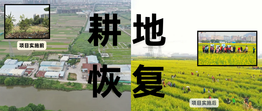 耕地；び刖梅⒄构踩凇甘泻窠终蛩谏缜读继锵钅扛馗丛氤窍缛诤系拇葱率导