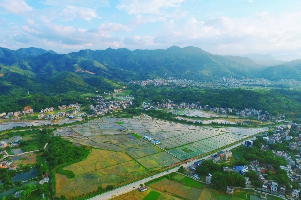 人生就是搏集团丨“百千万工程”显实效：云浮罗定泗纶镇以全域地皮综合整治为抓手，绘就村落振兴新画卷