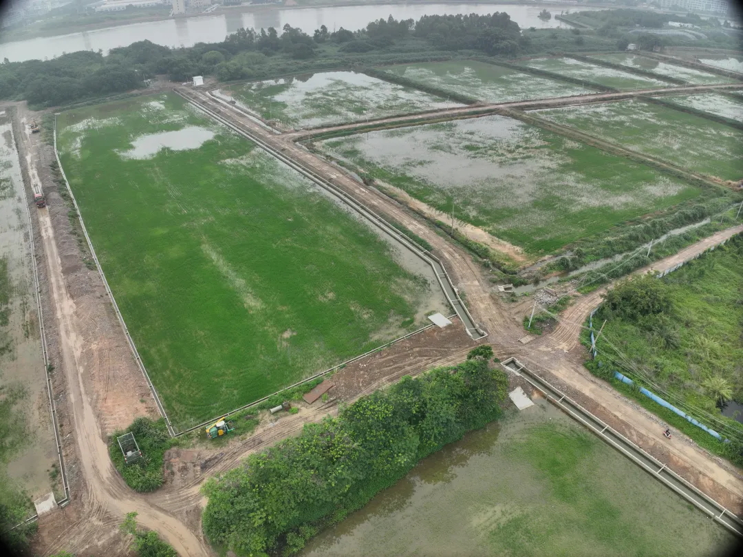 人生就是搏集团丨复耕路滘撂荒地，绘就田园新图景
