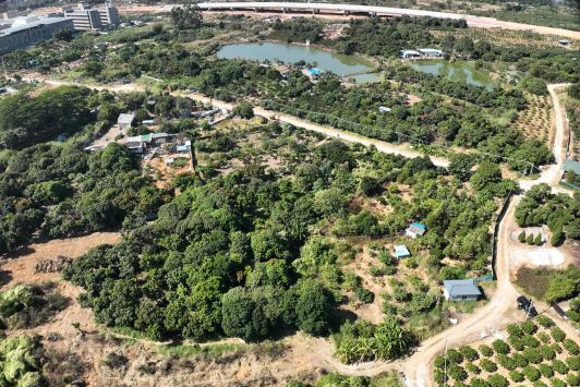 政策解读+实战案例！广东永农纠错新政落地，人生就是搏助镇皆炱局耕地；